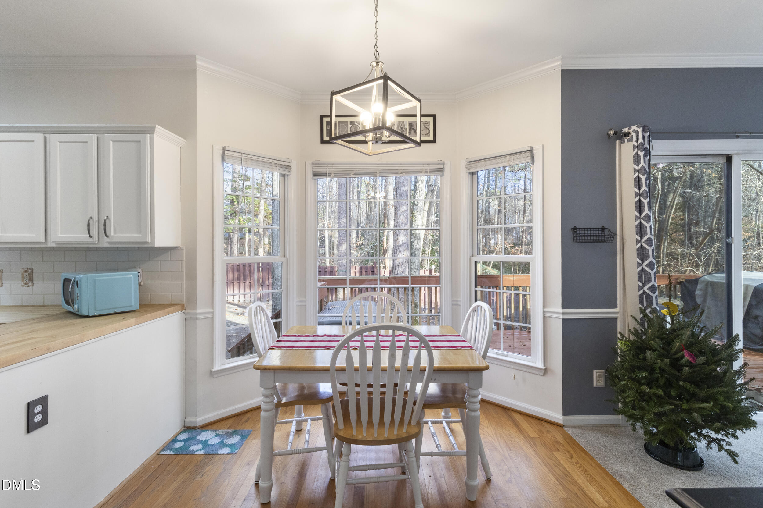 207 Forest Run Place