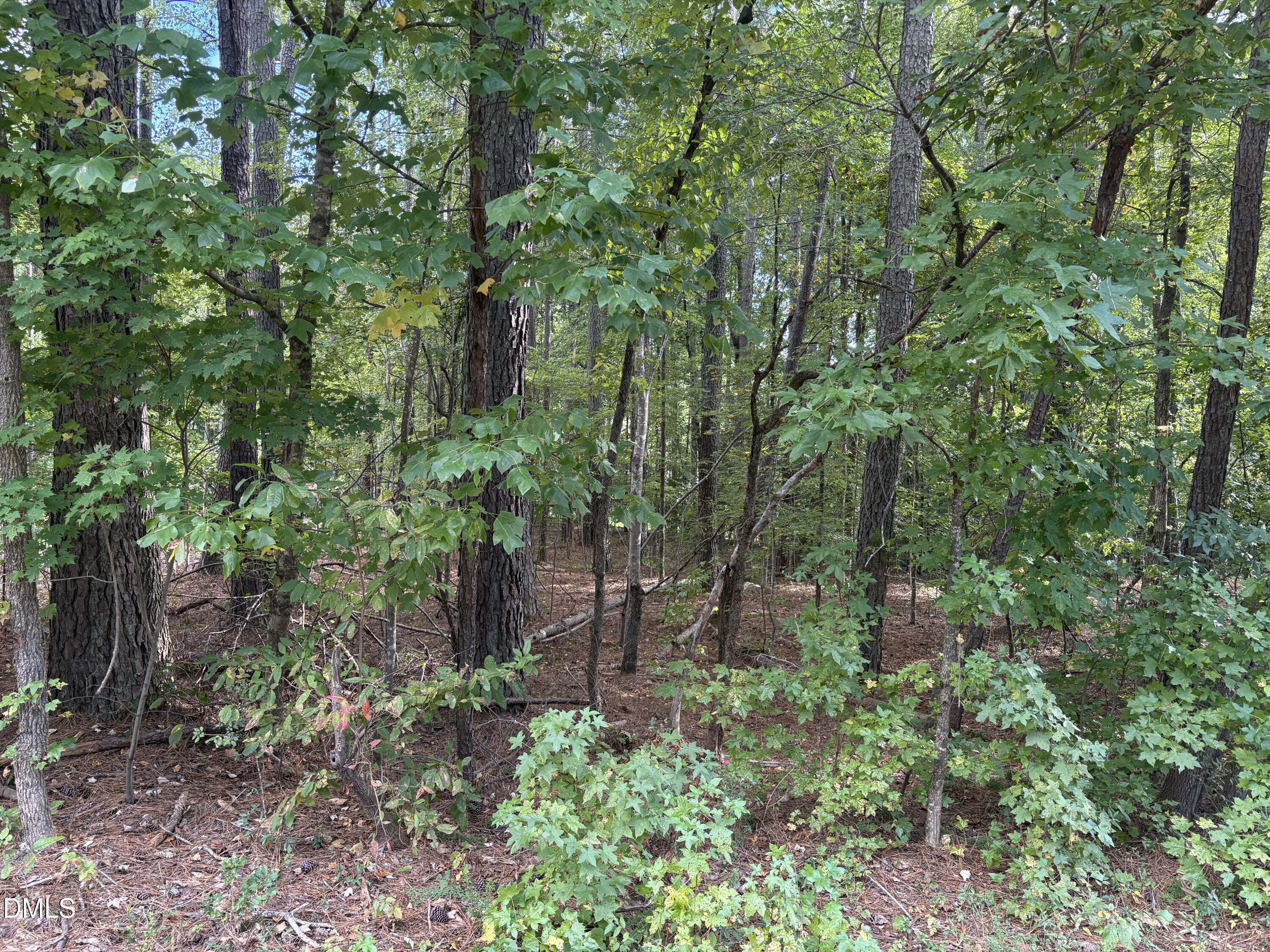 131 Clear Water Road