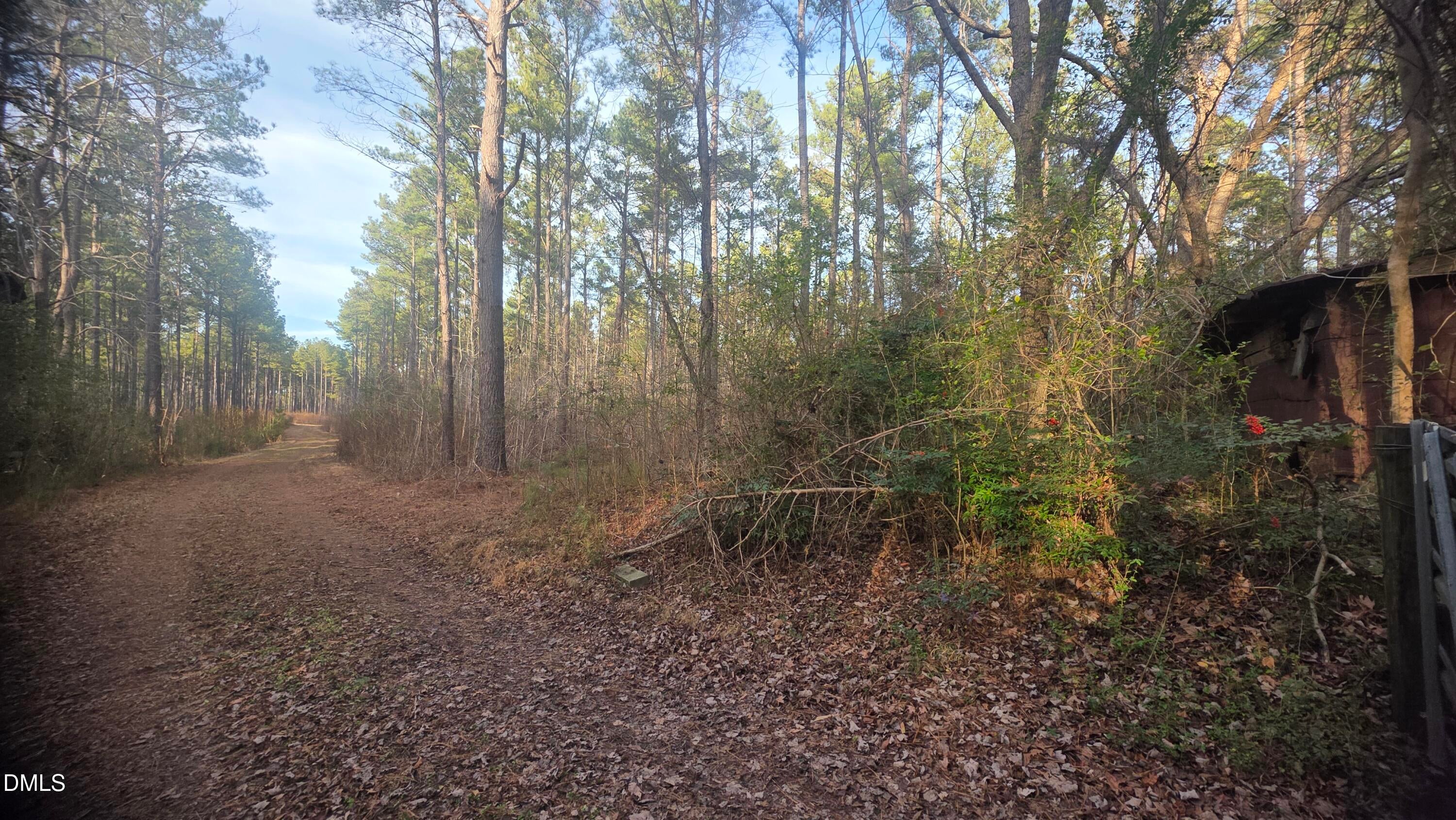 00 Hal Moore Lane