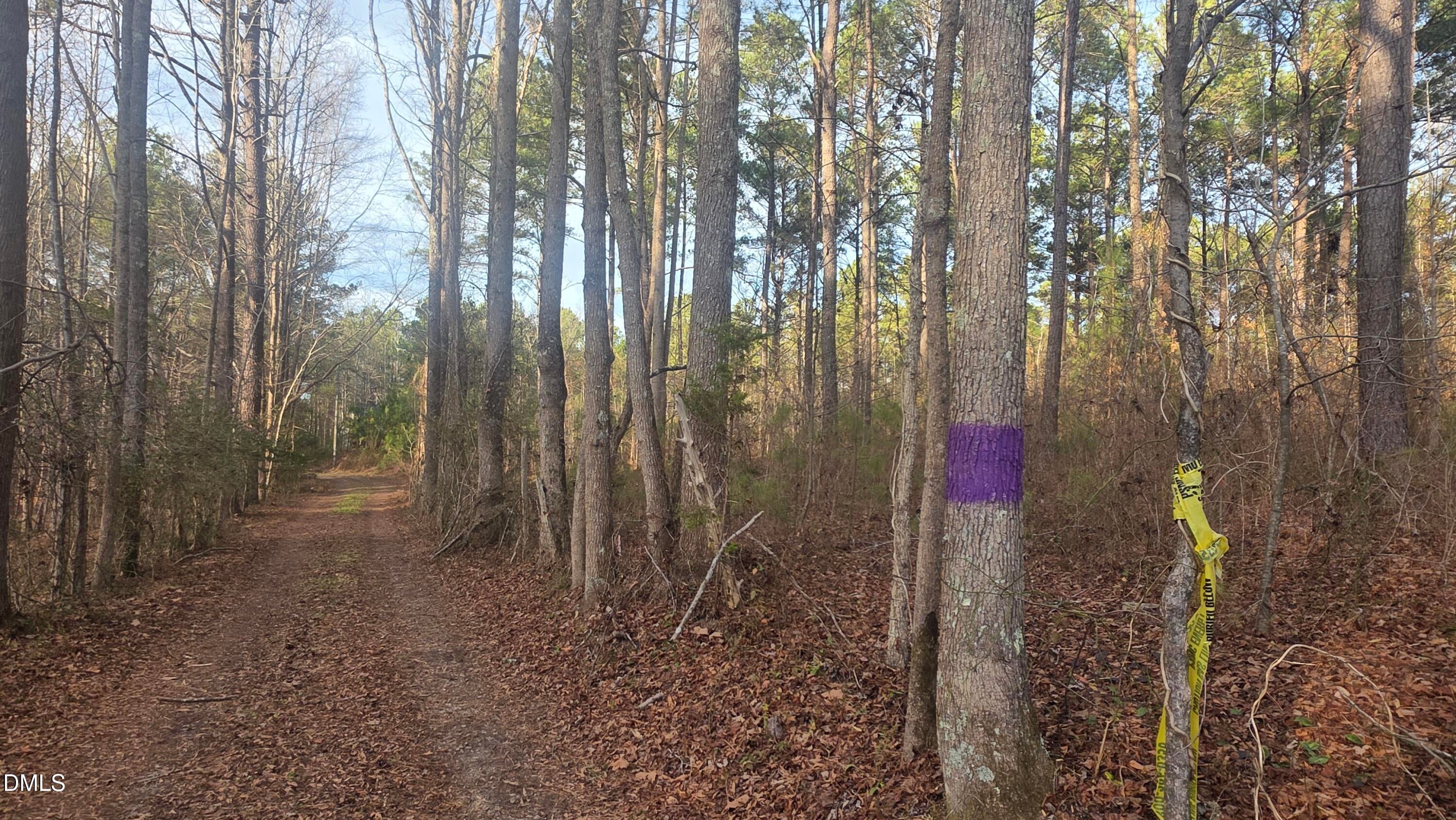 00 Hal Moore Lane