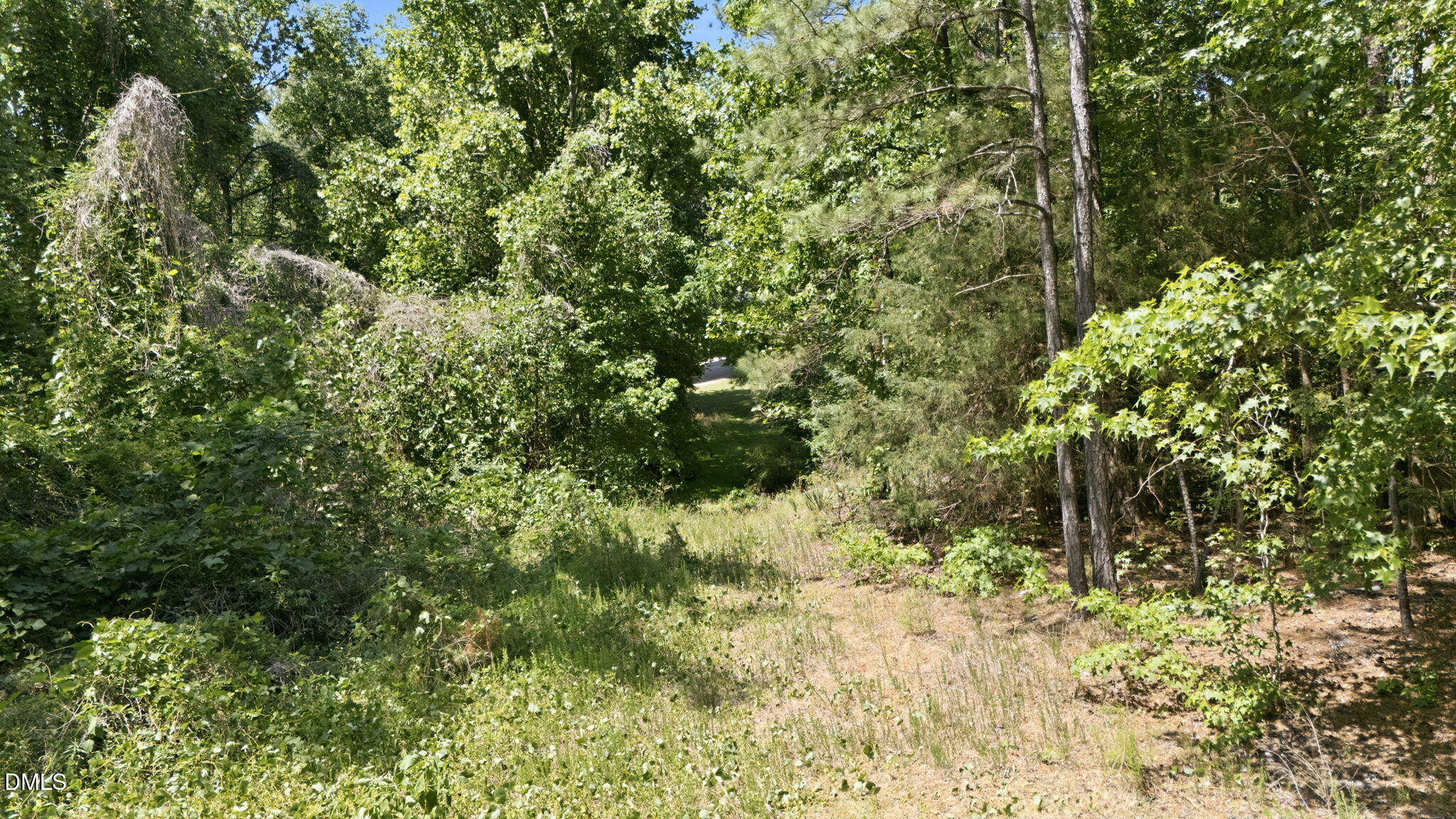 80 Cannady Way