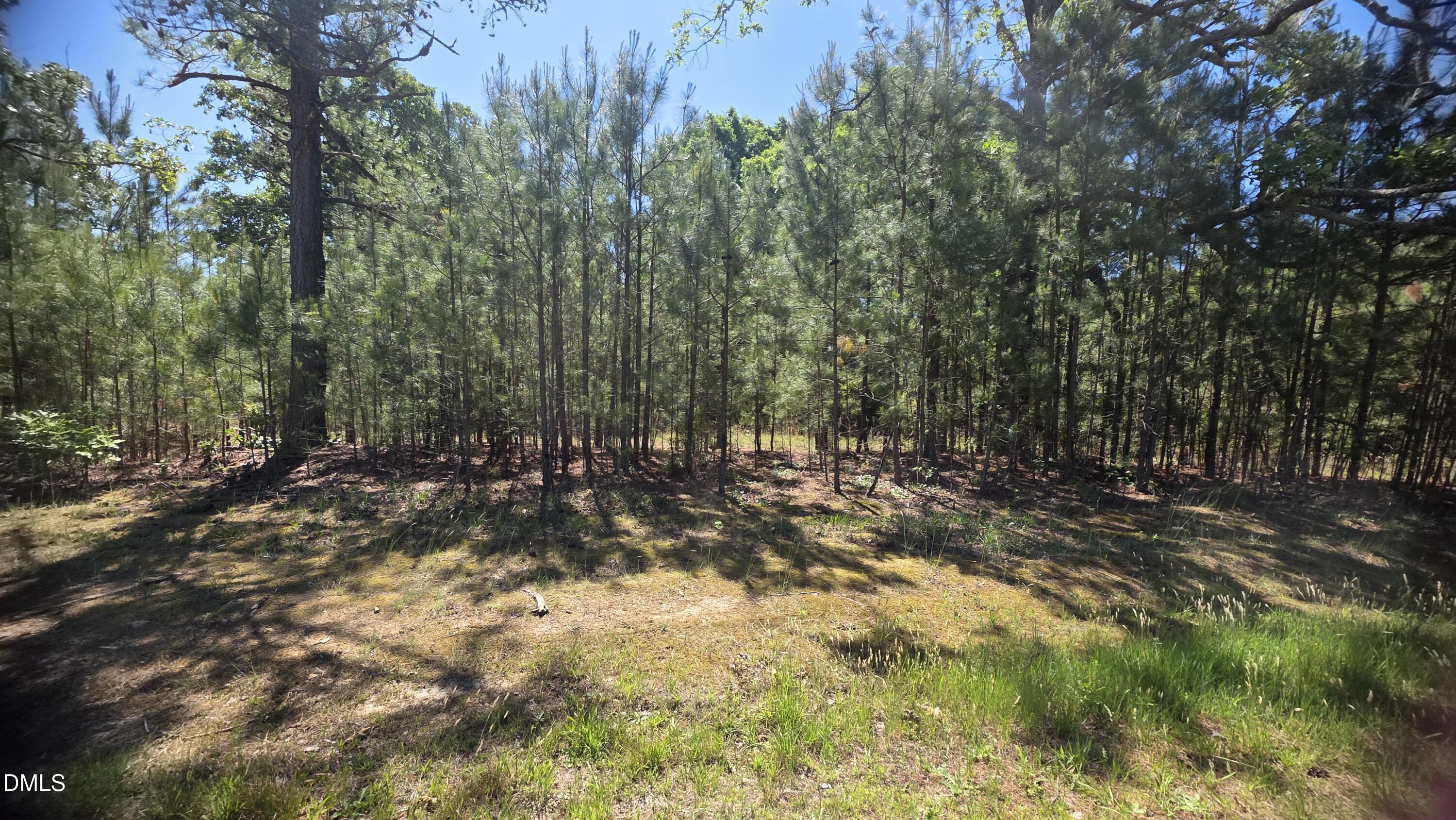 352 Laurel Mill Road