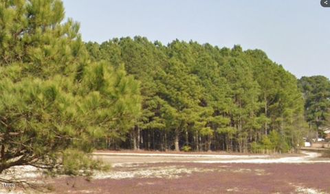 Parcel #3 Bob Lee Lane Dunn NC 28334