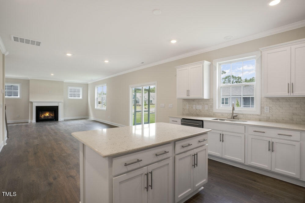 1417 Jasmine View Way