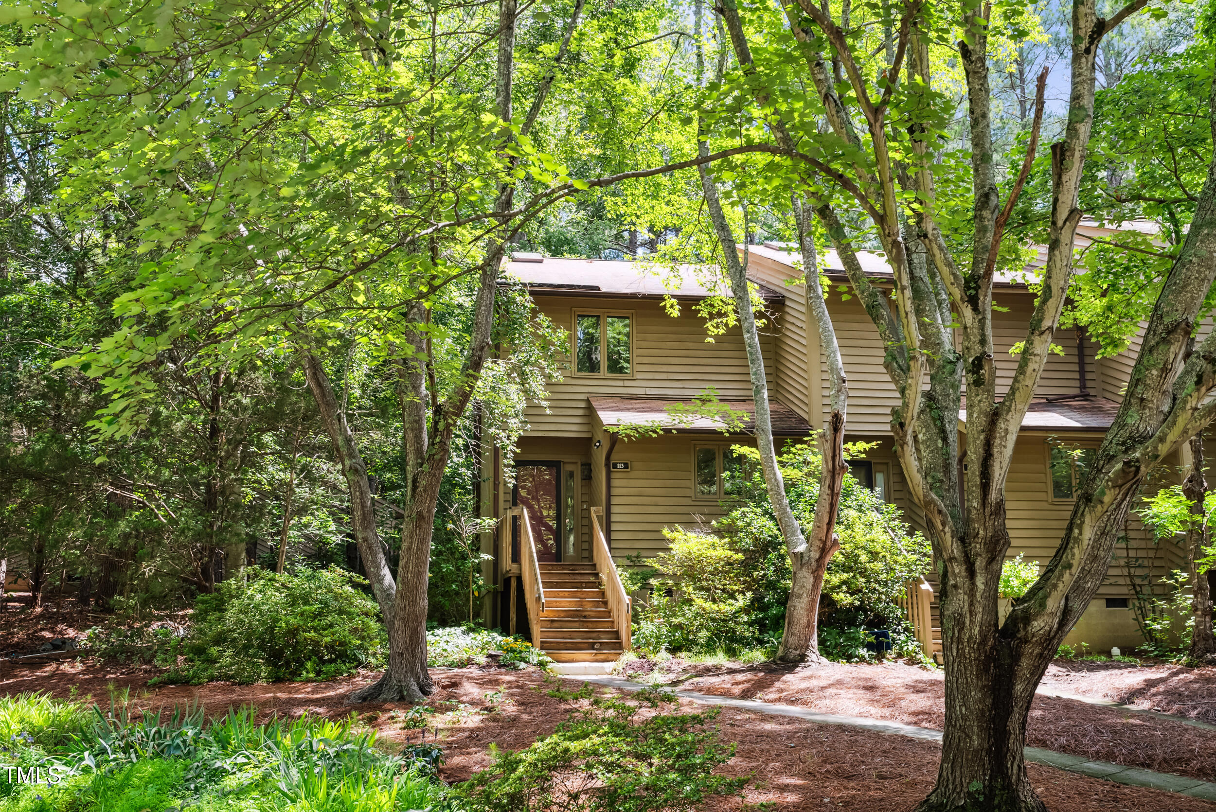 113 Twisted Oak Place
