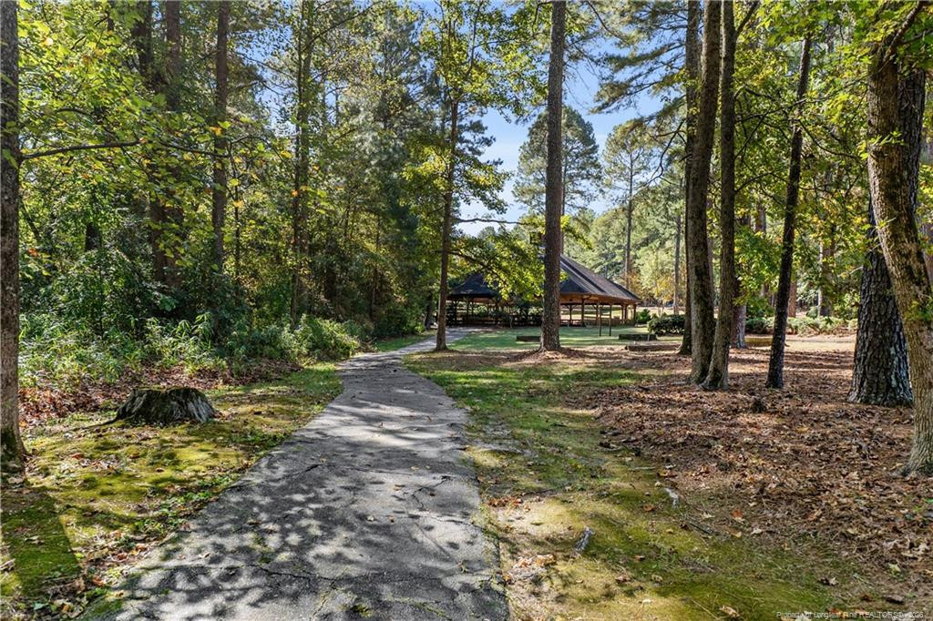 437 Timber Skip Drive