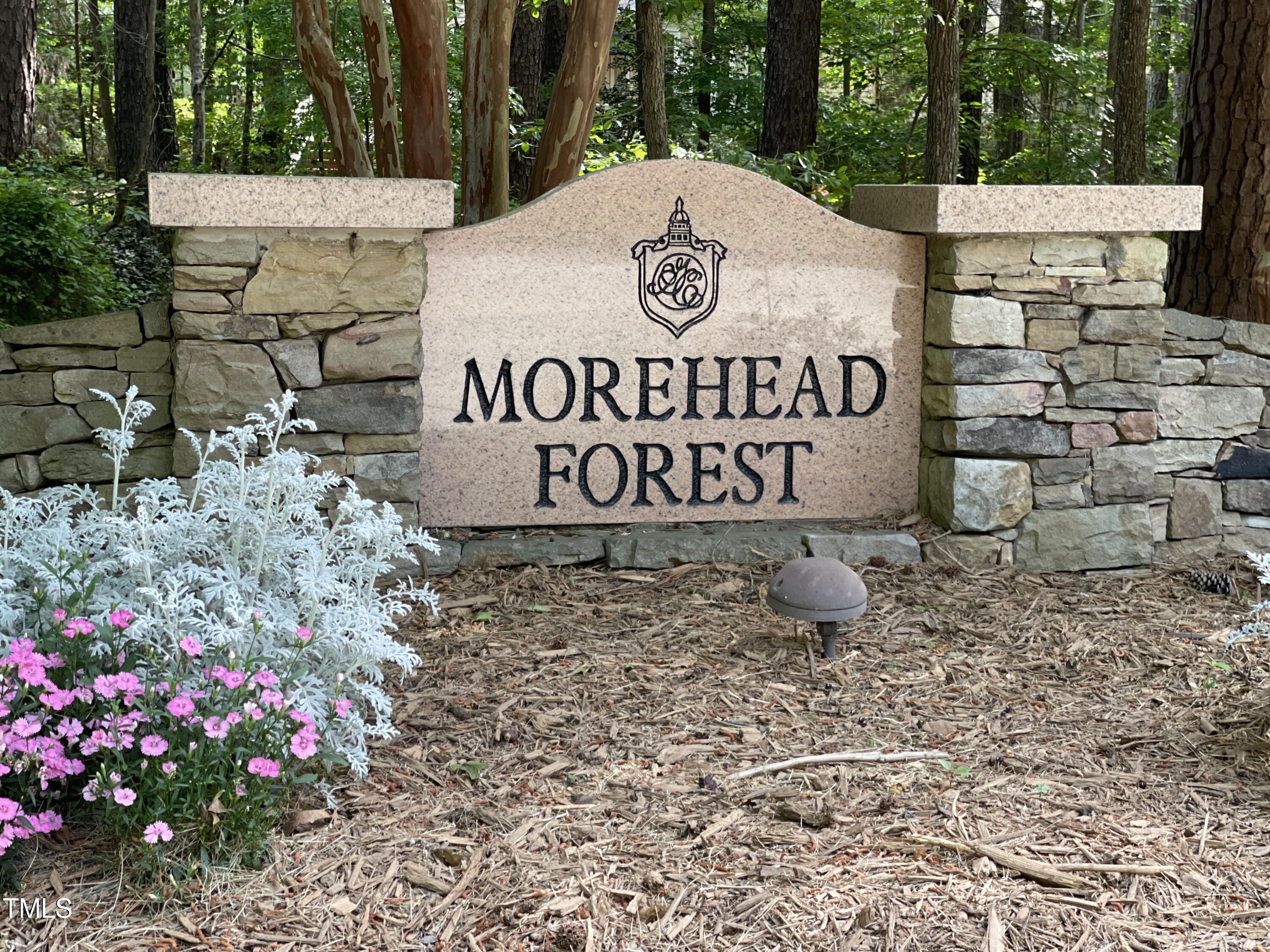 70005 Morehead