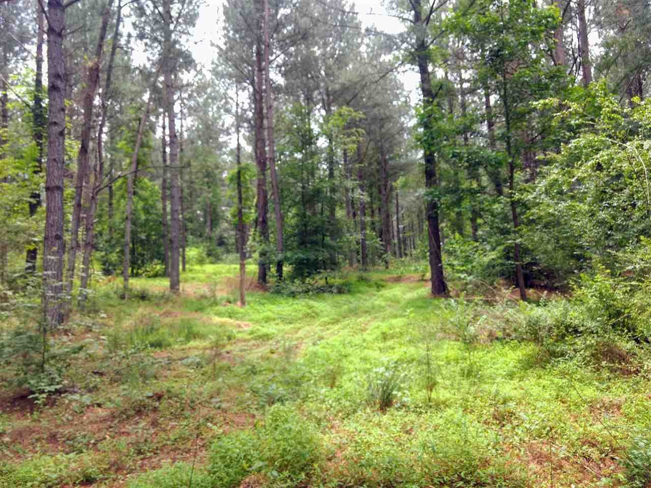 95 Old Poplar Creek Road