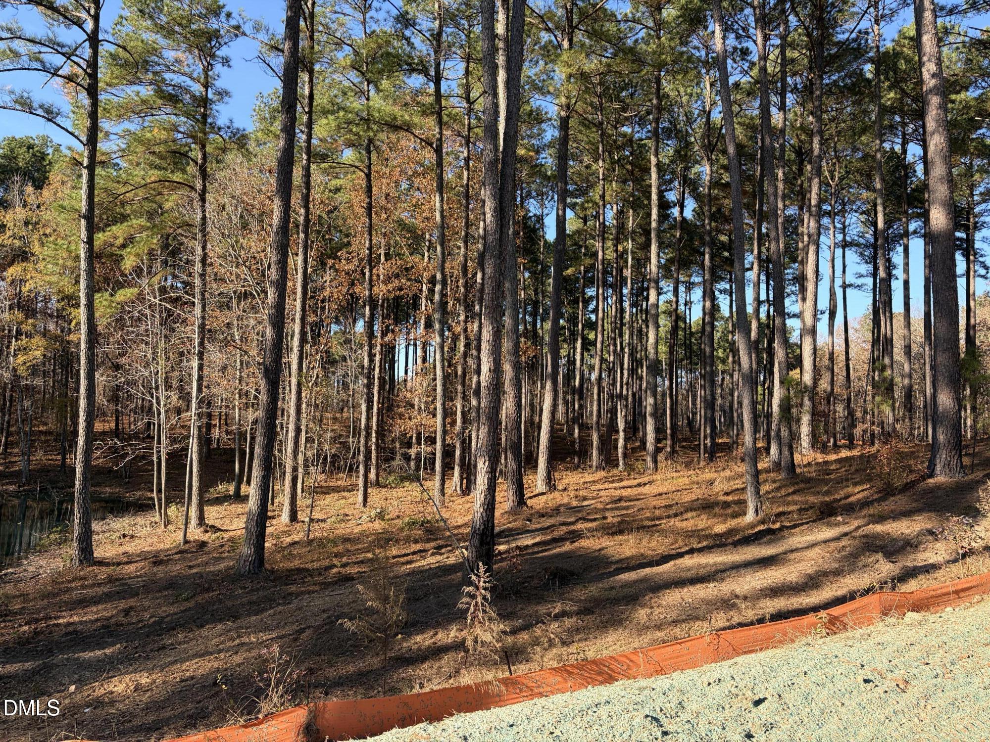 6713 Bartley Point Drive