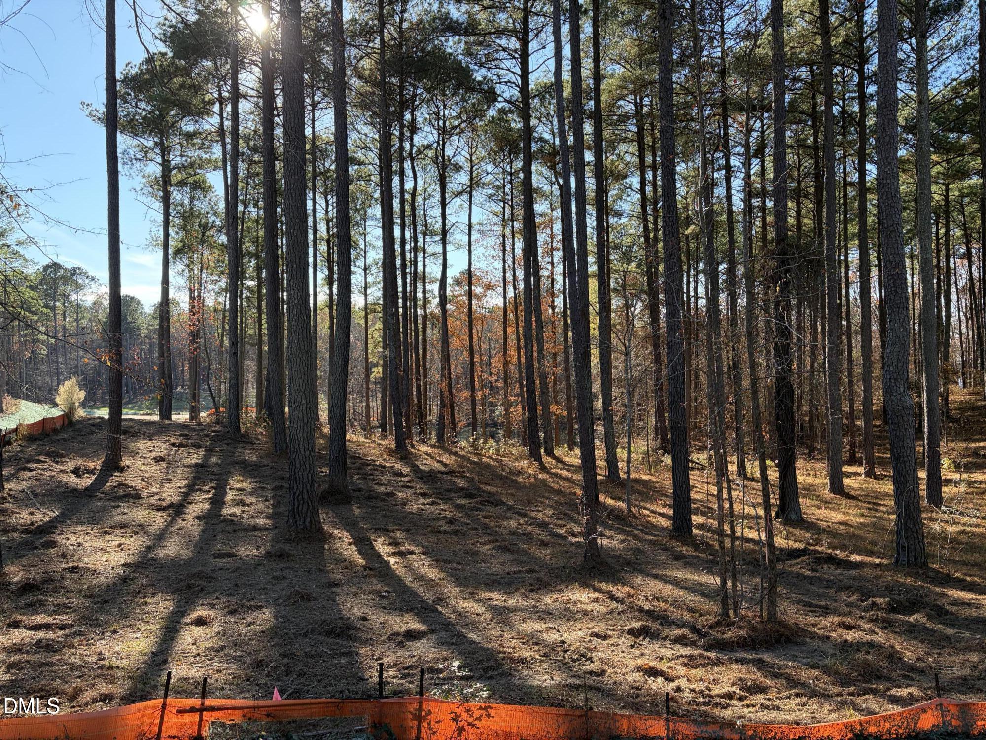 6713 Bartley Point Drive