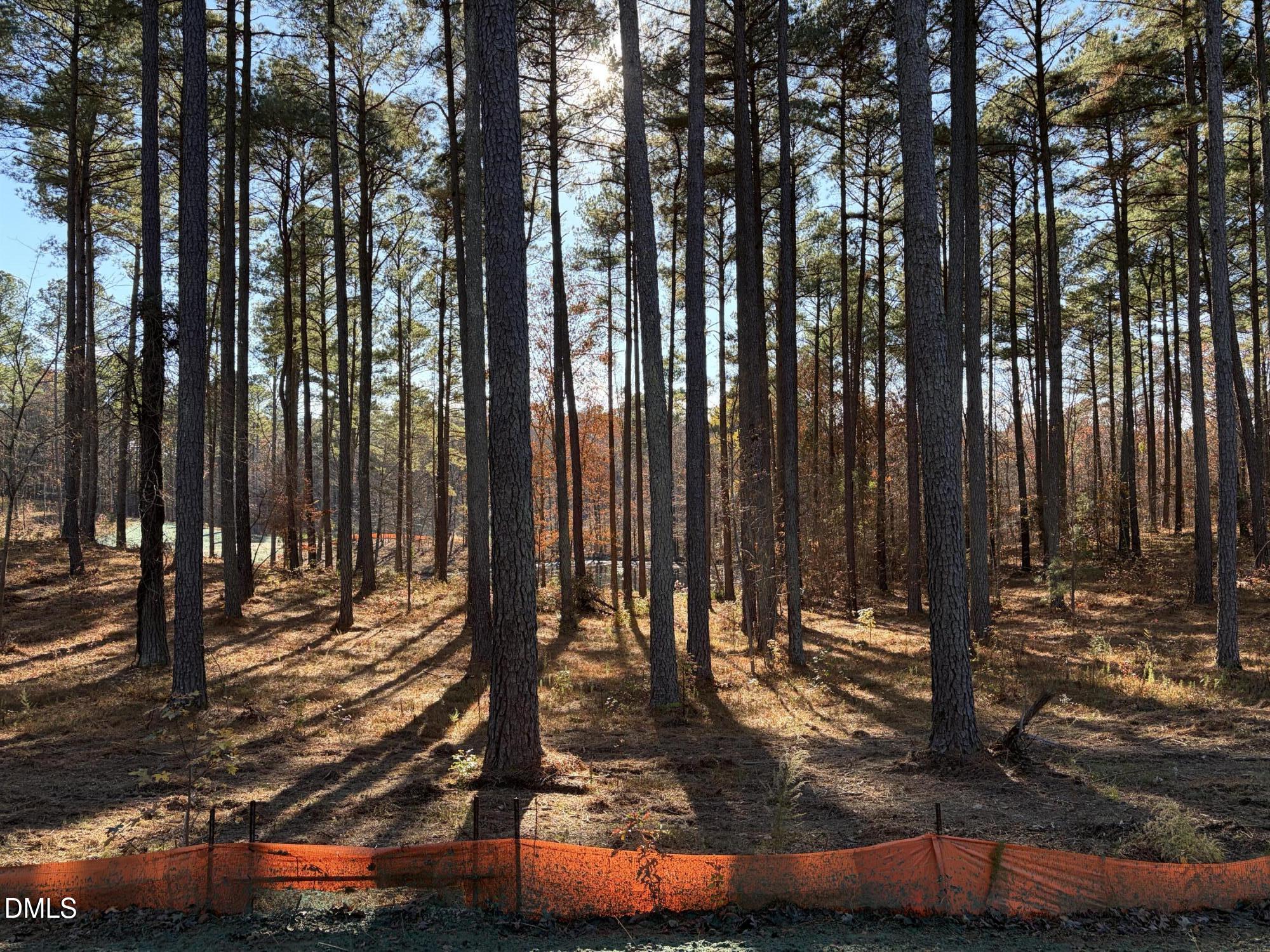 6713 Bartley Point Drive