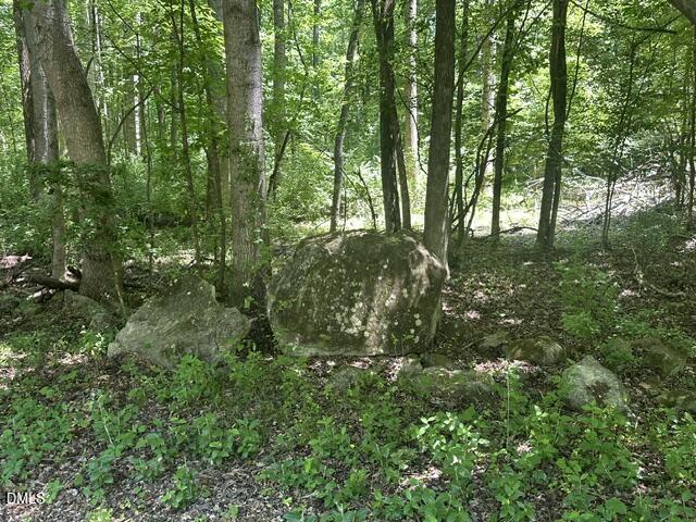 578 Nicks Bend W