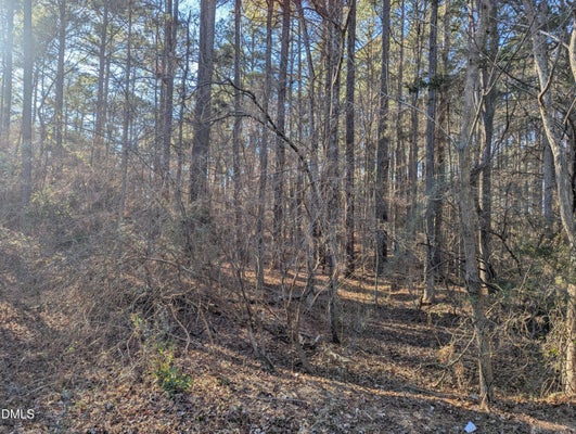 LYDIA LN, HENDERSON, NC 27537 - Image 51e571bced8cefa26e32cad3fb2d5b88/1603756462
