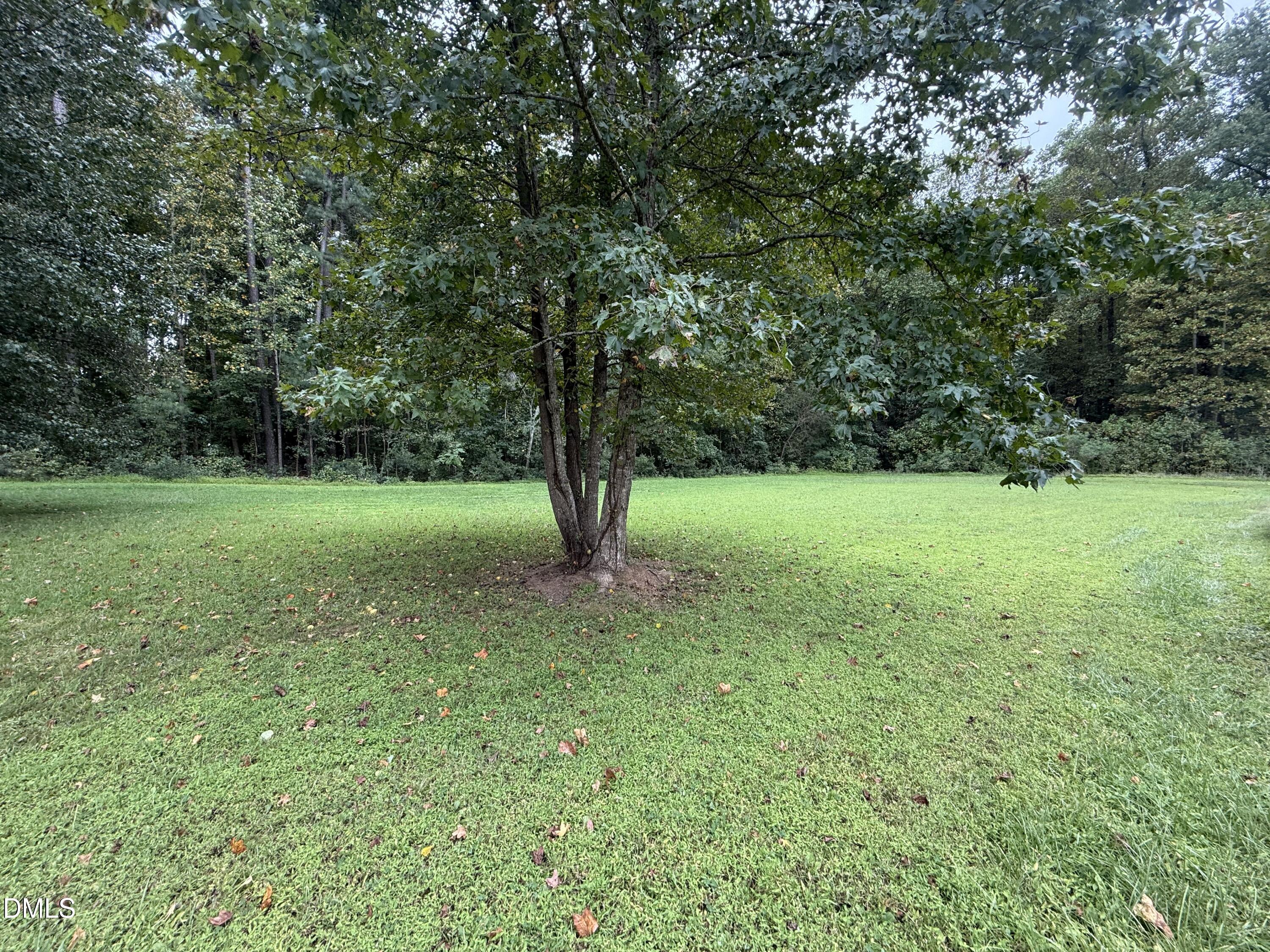 8008 Deer Meadow Drive