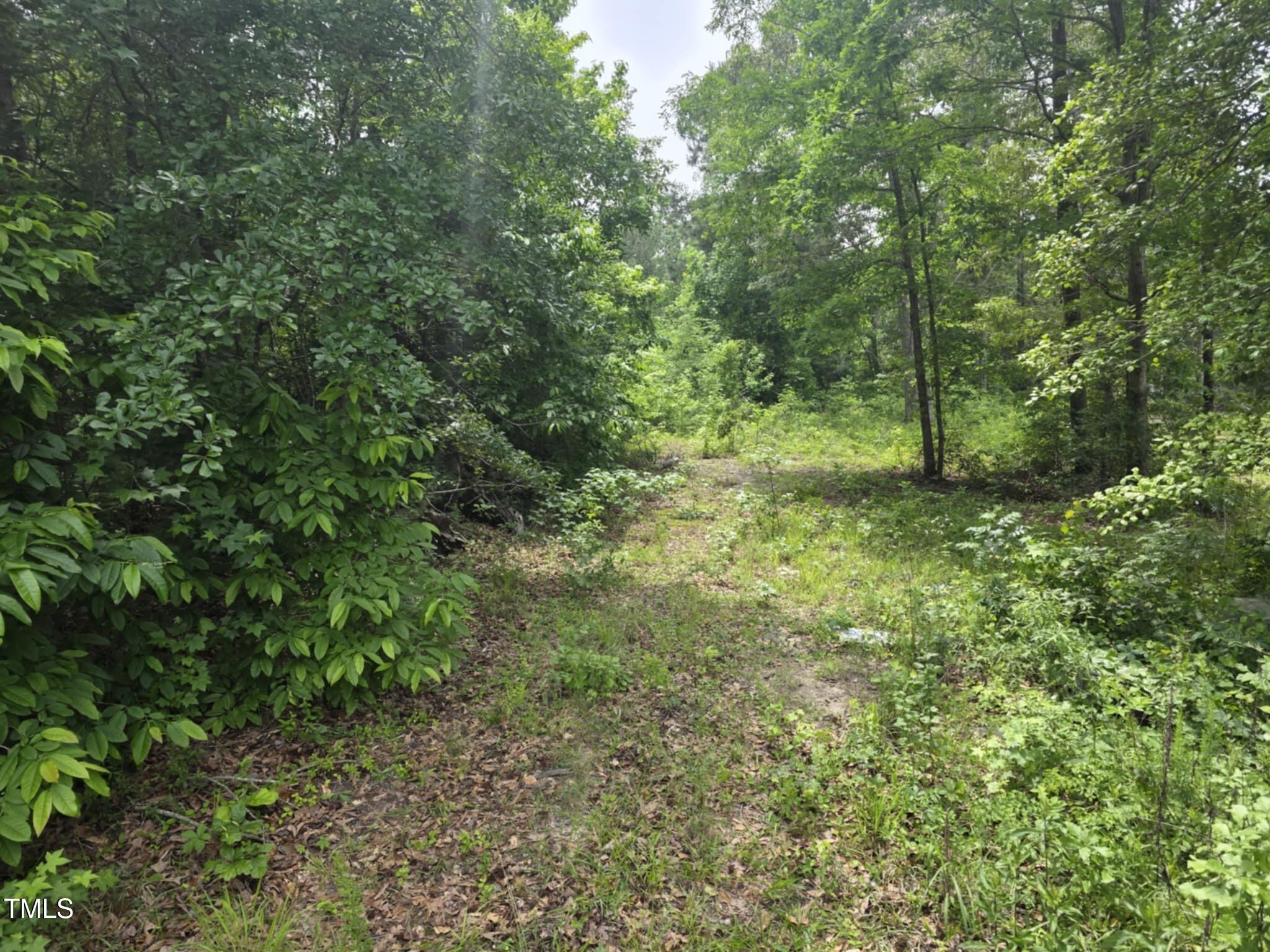 121 Barb Lane
