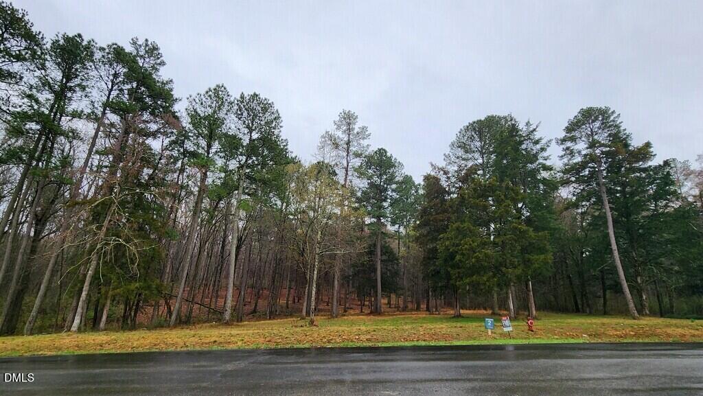 100 Brook Green Lane