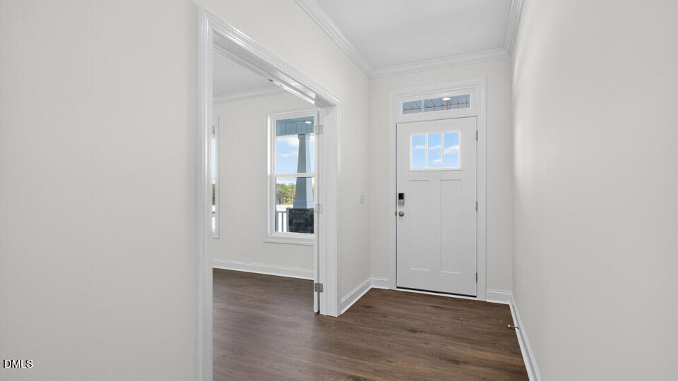 45 East Fire Opal Court