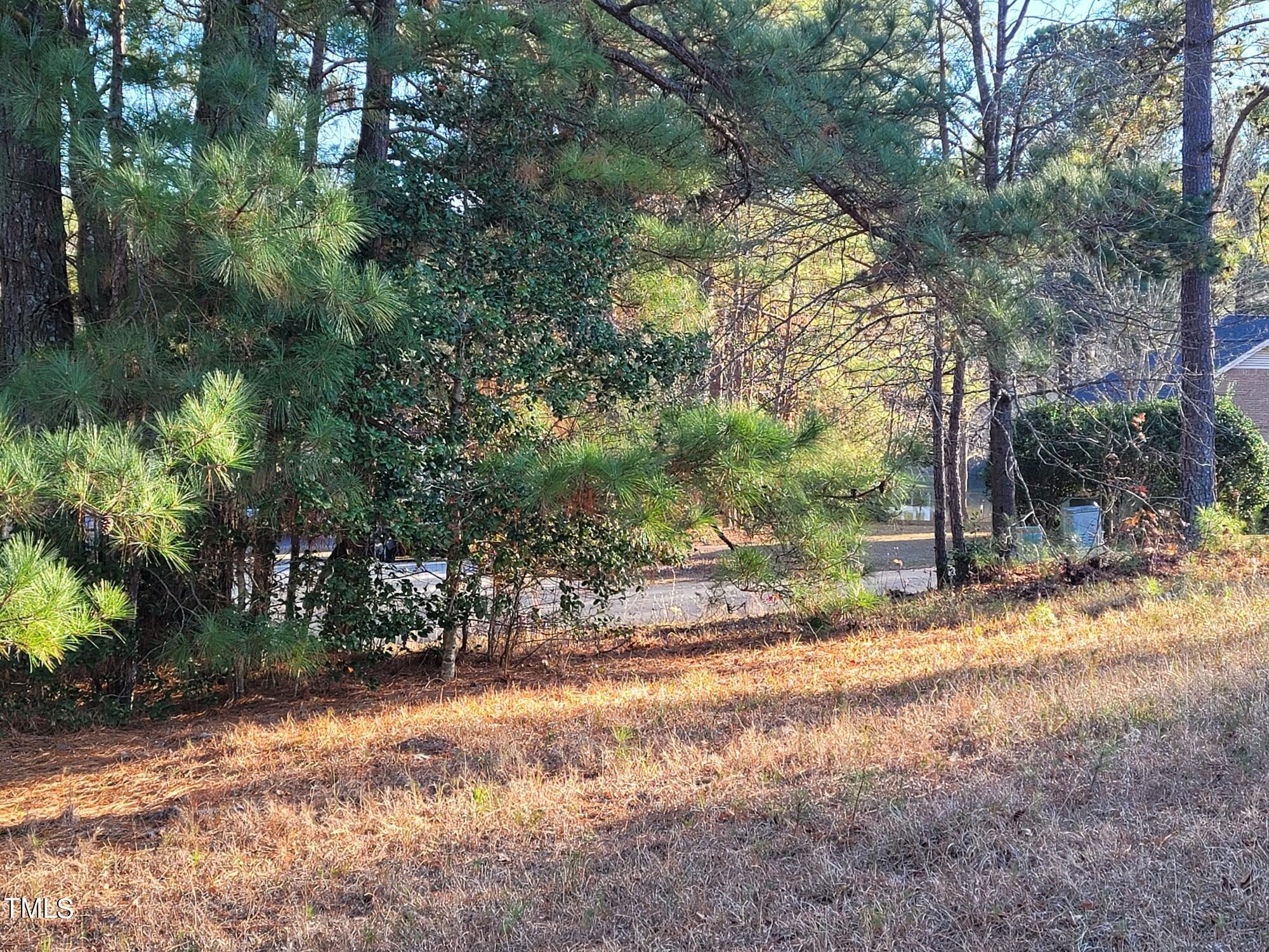 74 Indian Trail