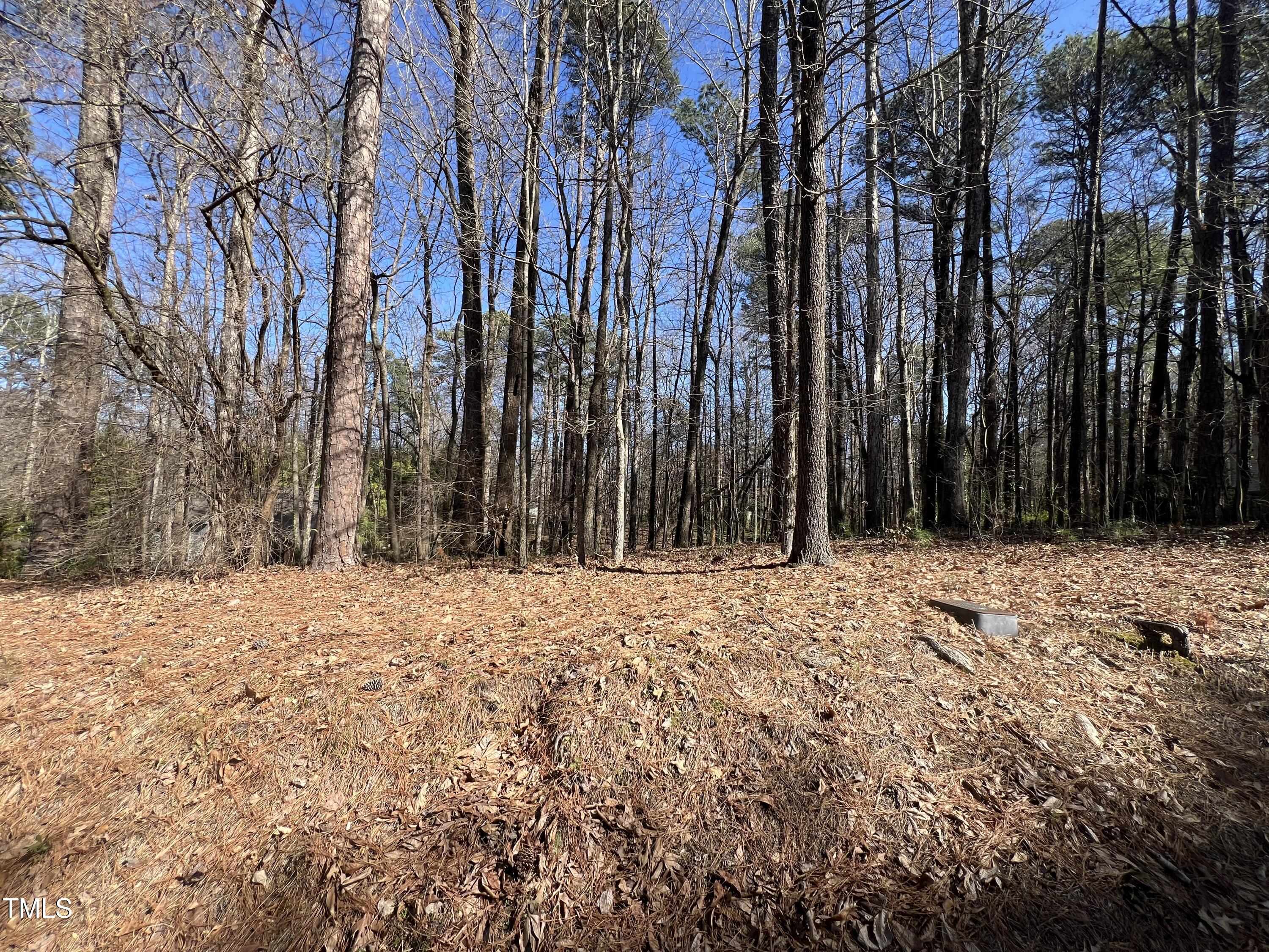 110 Maplewood Drive