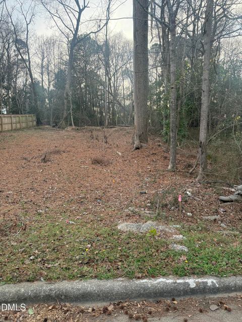 0 E Hinton Street Clayton NC 27520