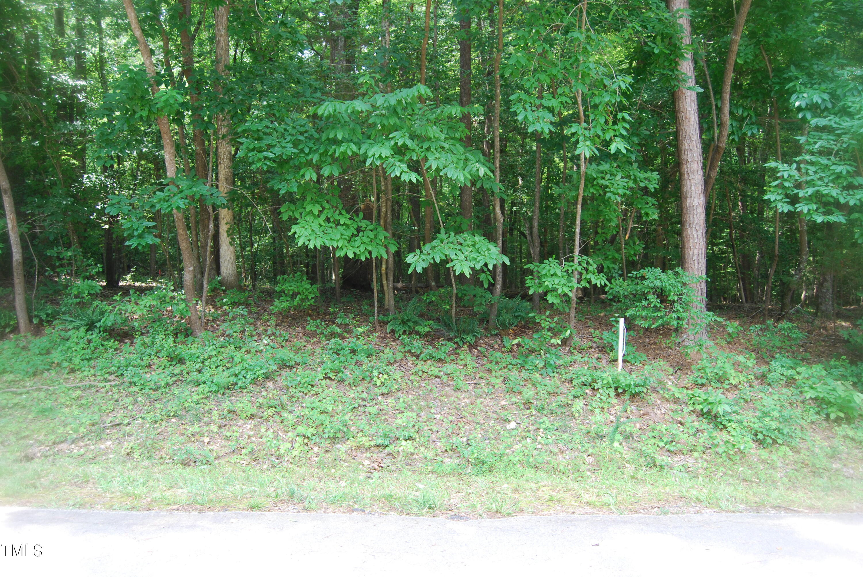 107 White Horse Drive