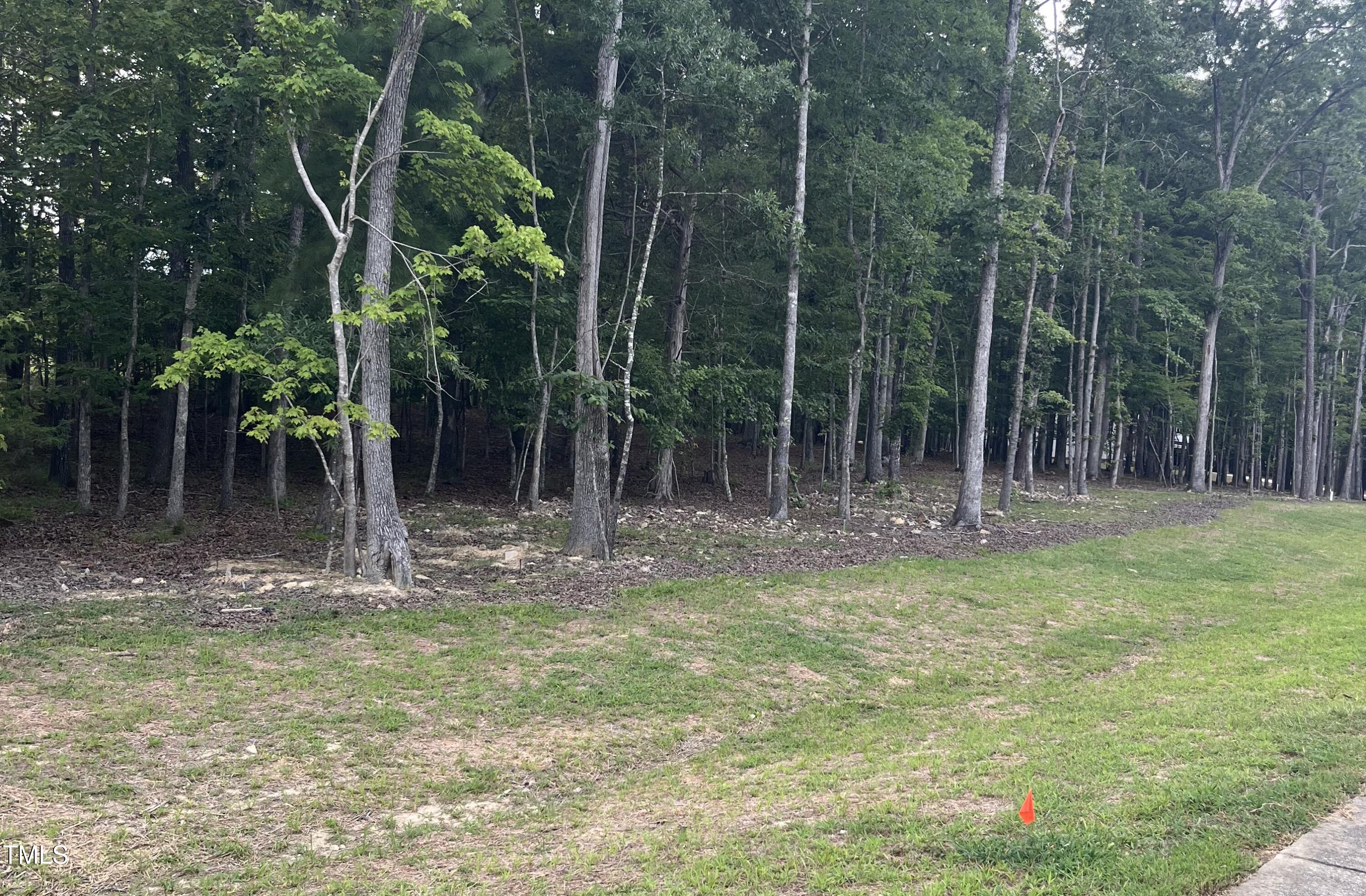 125 Rhododendron Drive