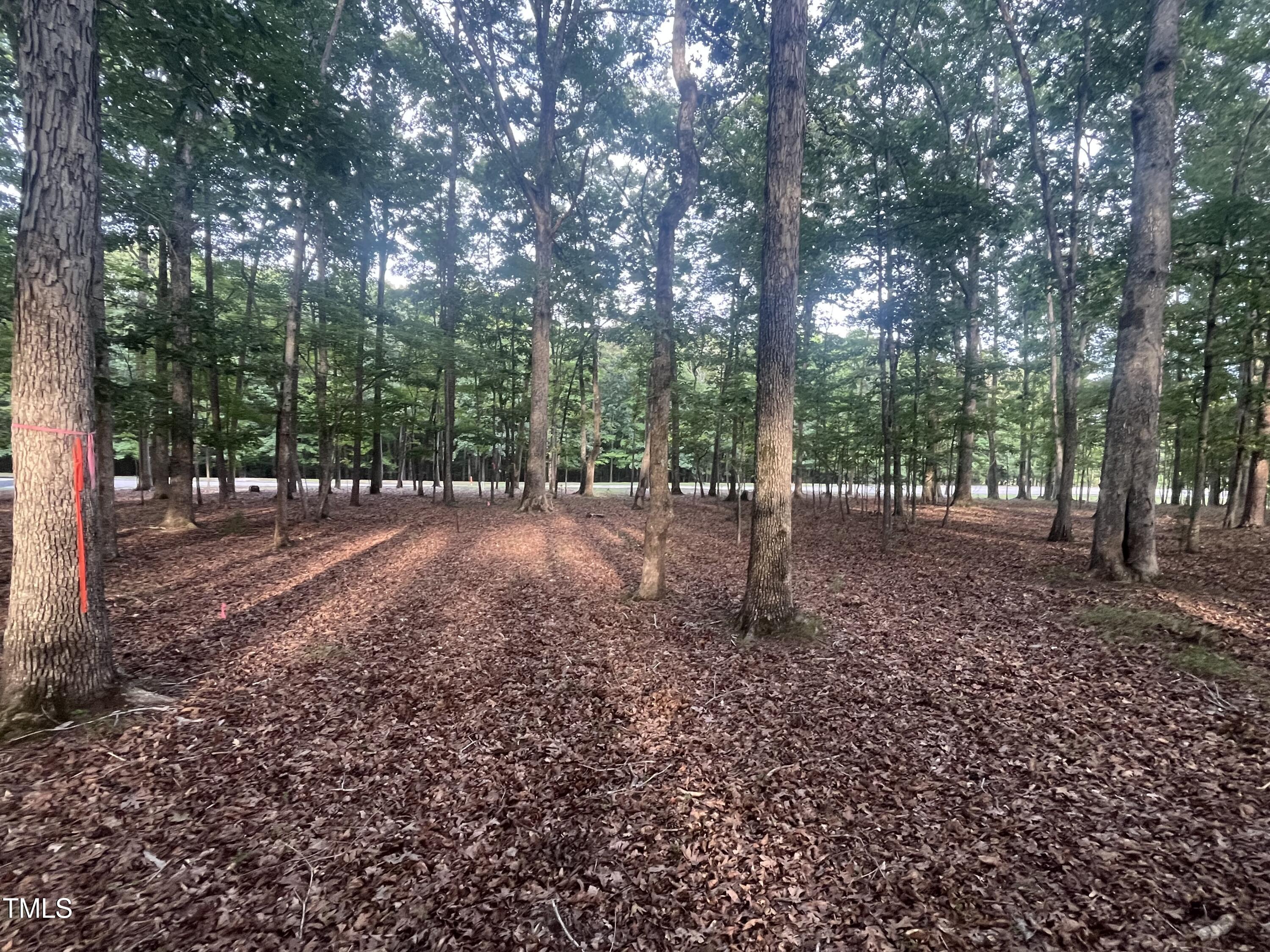 125 Rhododendron Drive