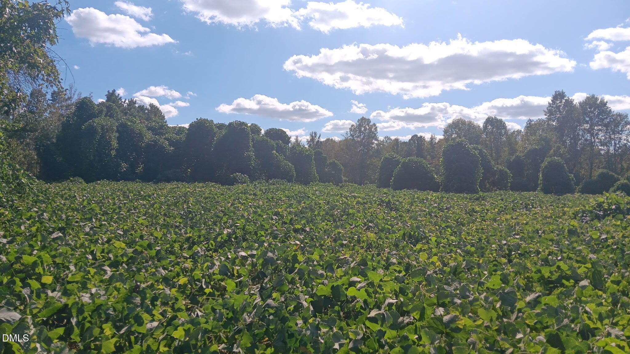 0 Cypress Creek Drive