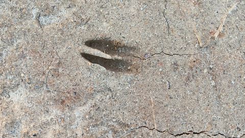 0 Cypress Creek Drive Louisburg NC 27549