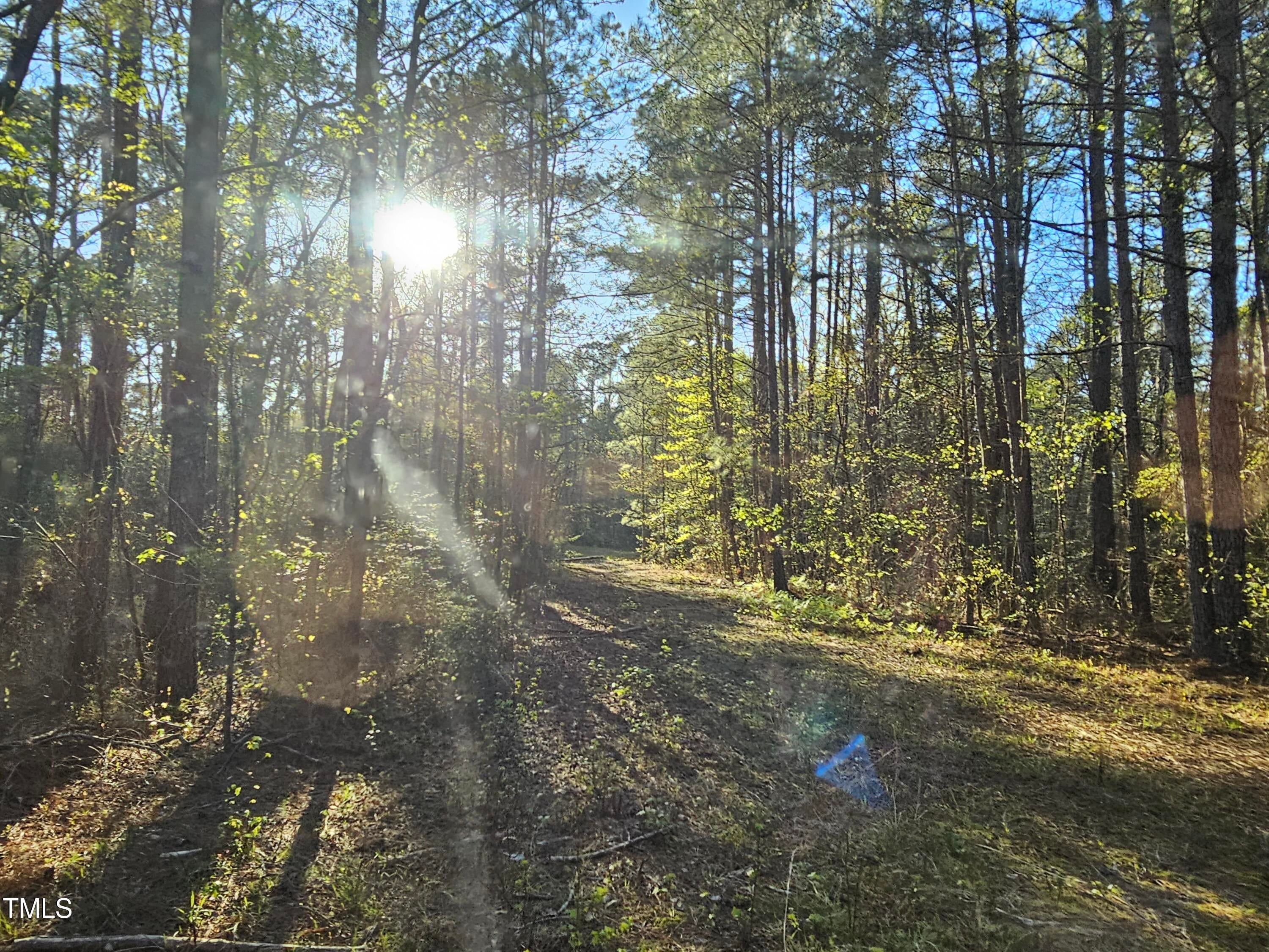 947 Hudsonia Dr, Vass, NC 28394