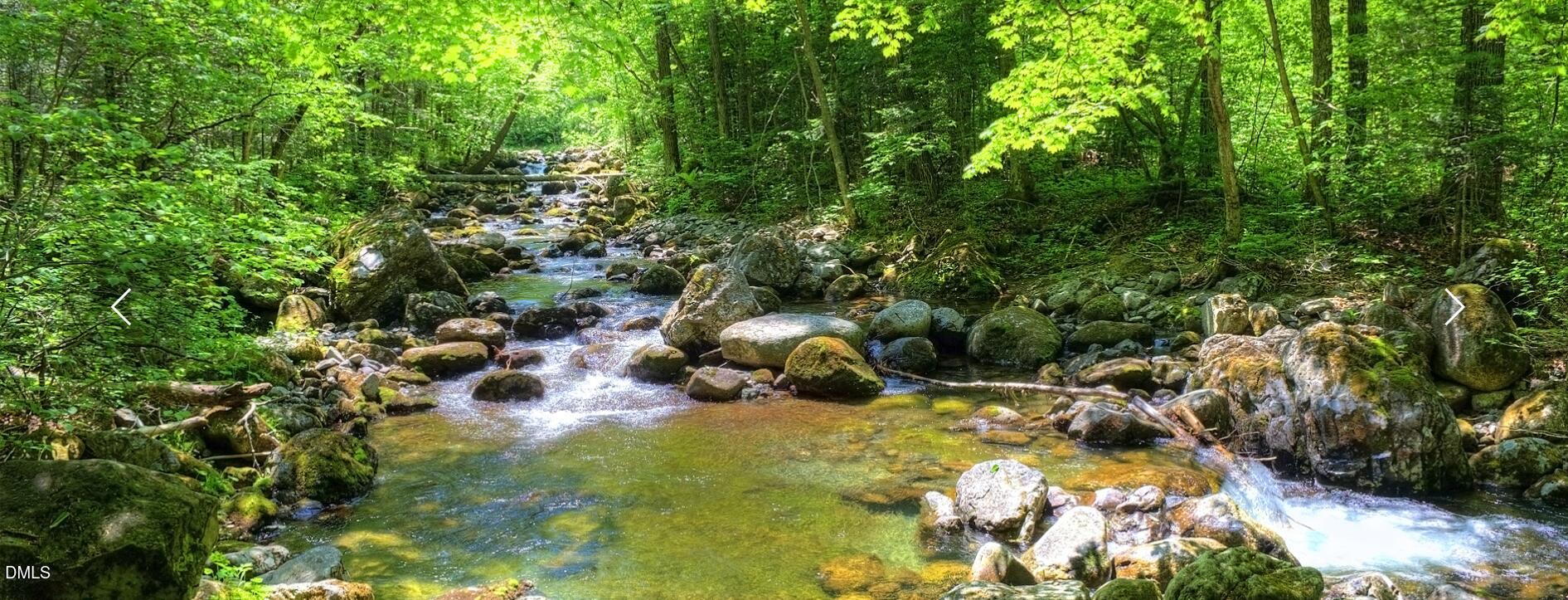 174 Clear Springs Court