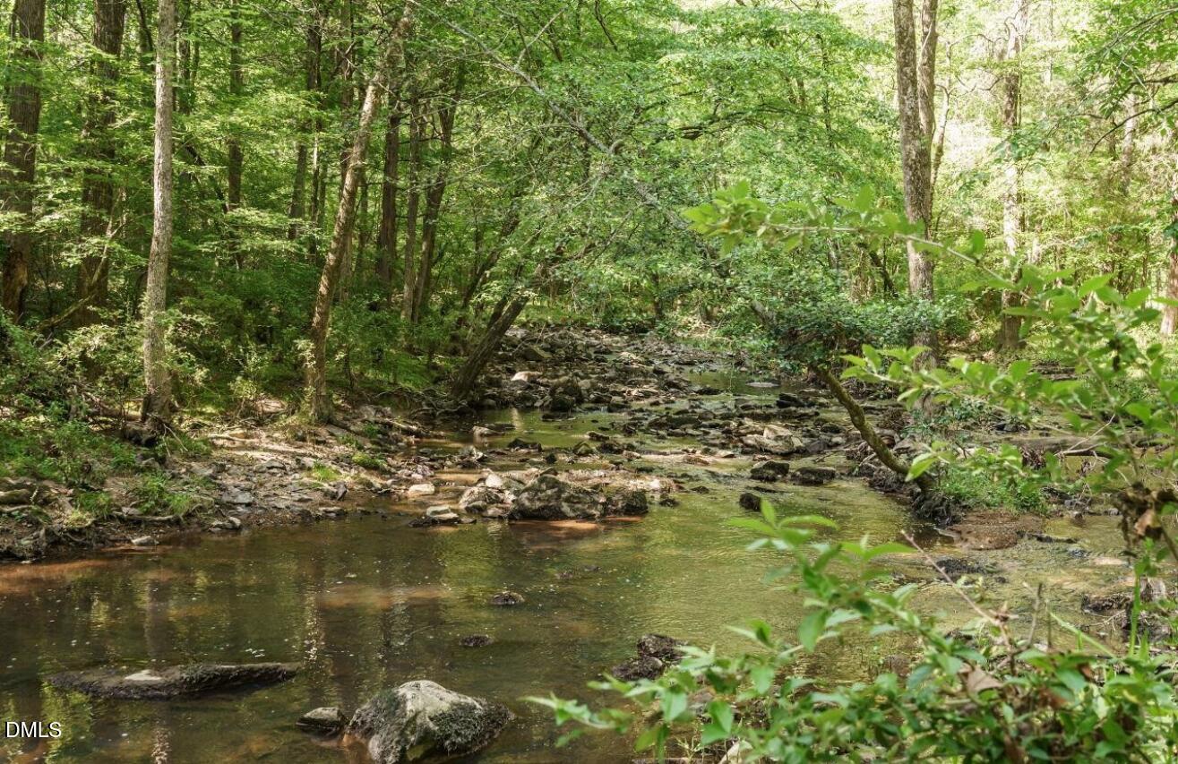 174 Clear Springs Court