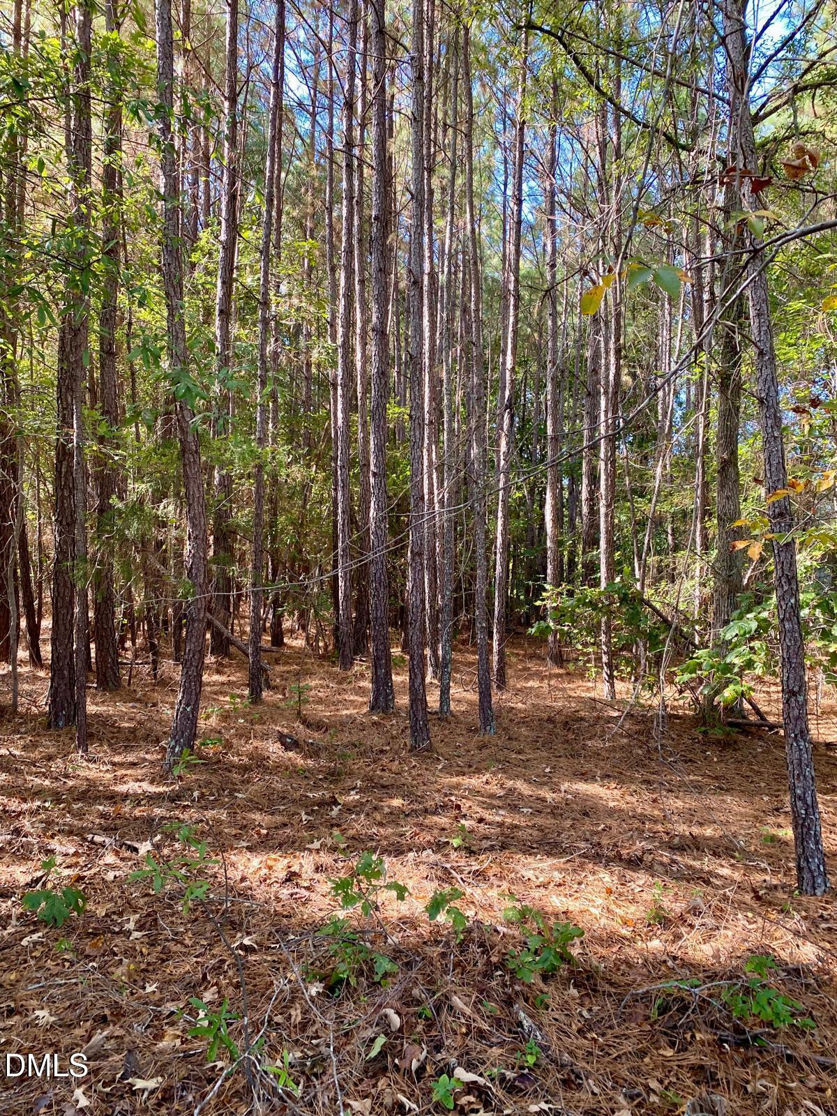 42 Asbury Church Road