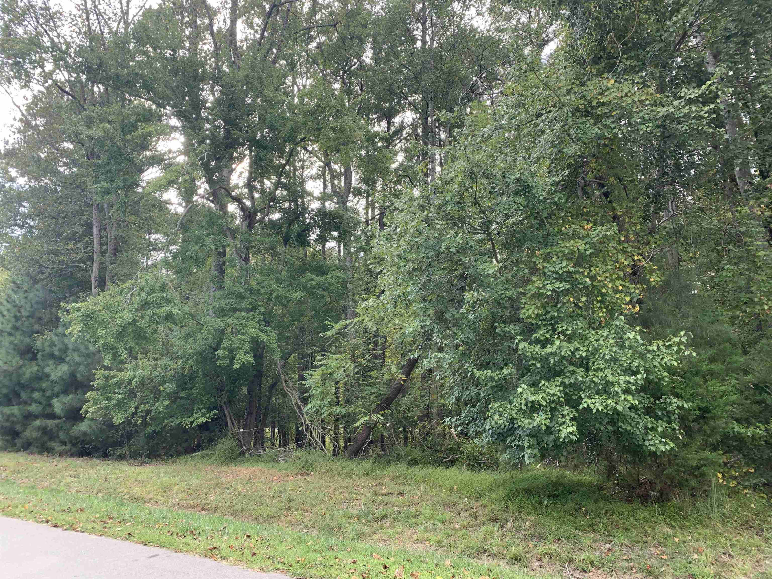 4551 Ashley View Lane