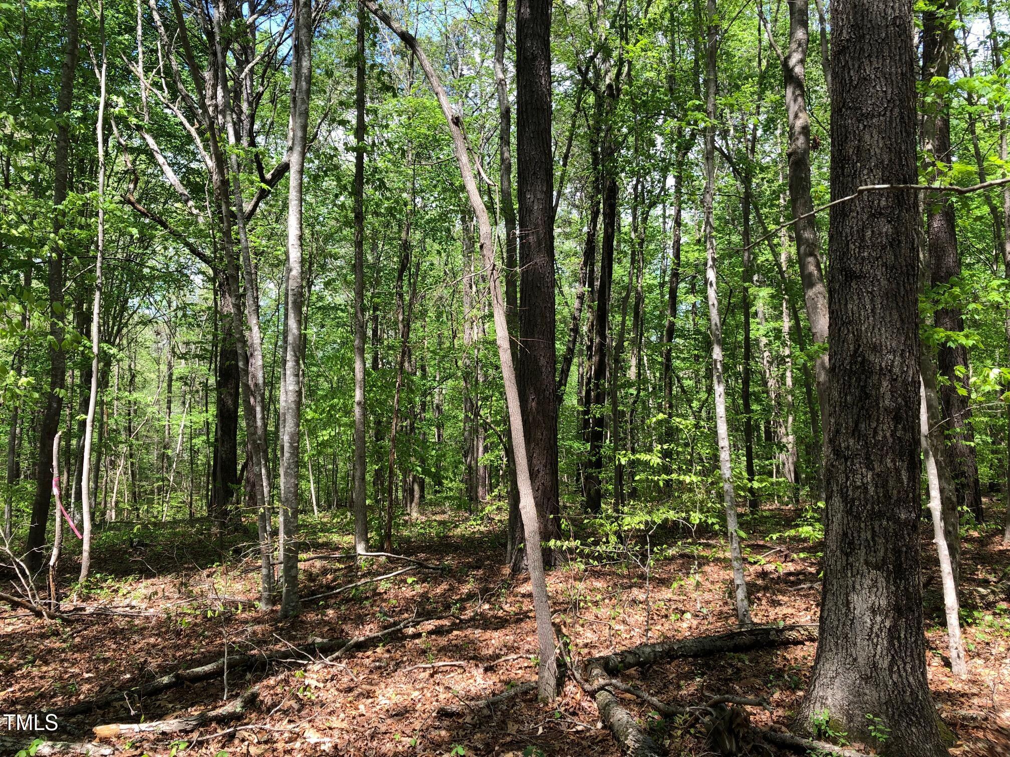 910 Nc Hwy 902