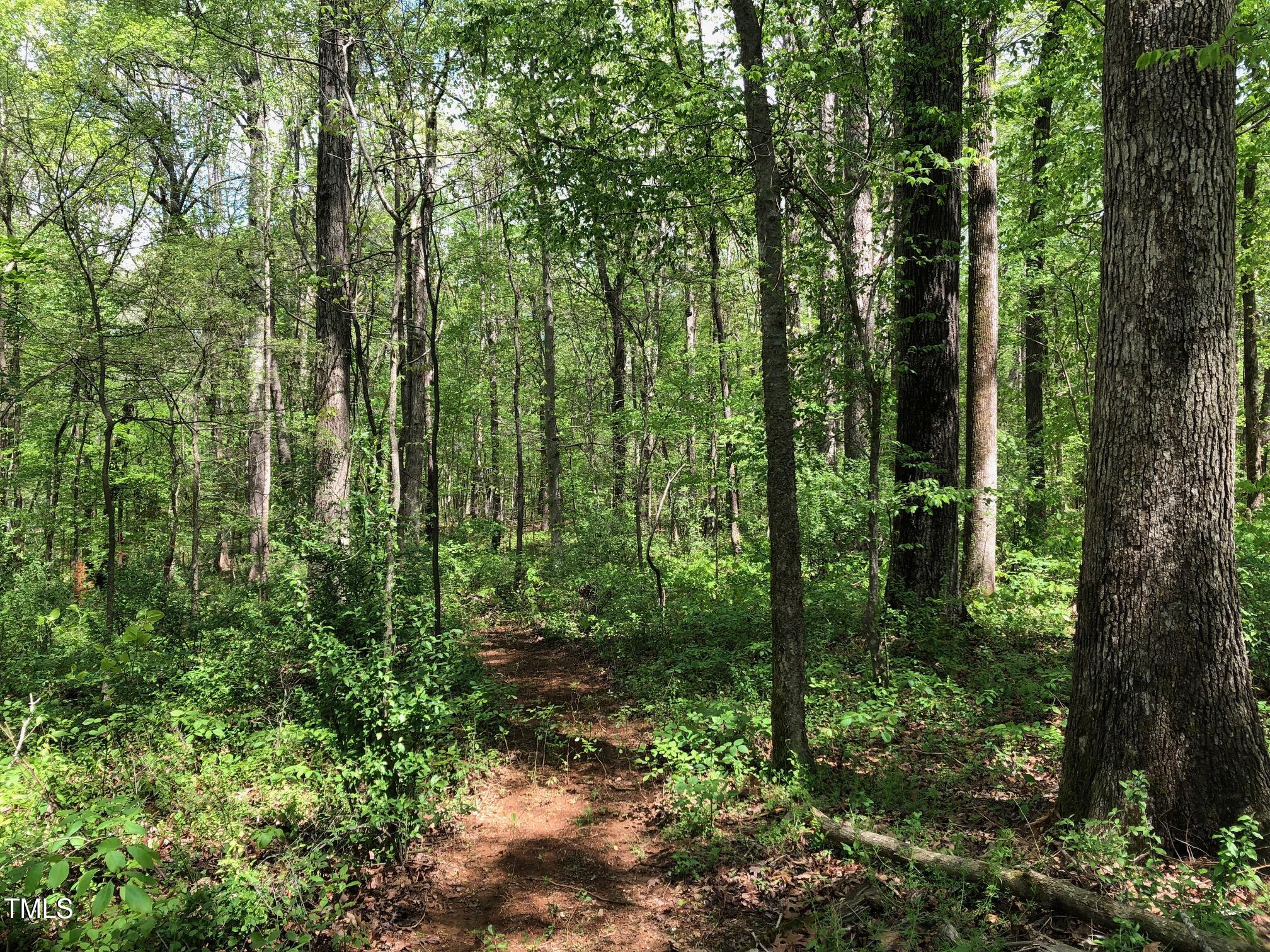 910 Nc Hwy 902