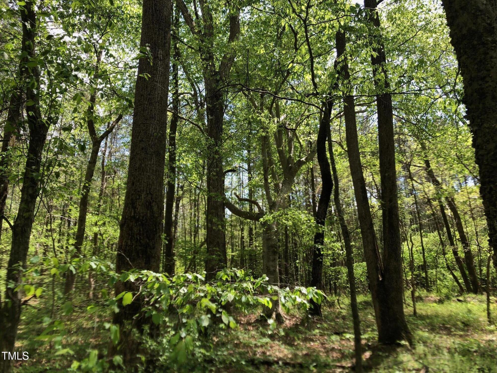 910 Nc Hwy 902