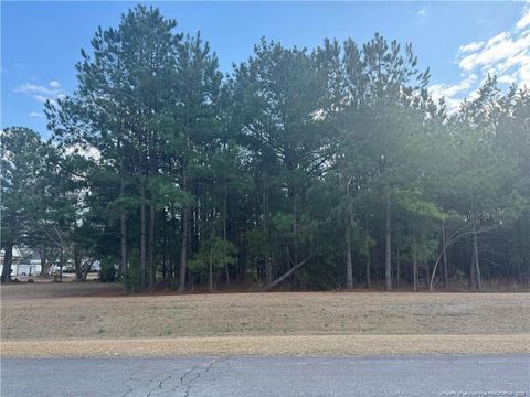 Saddlebred Lane Raeford NC 28376