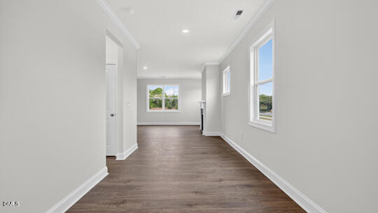 1537 Jasmine View Way