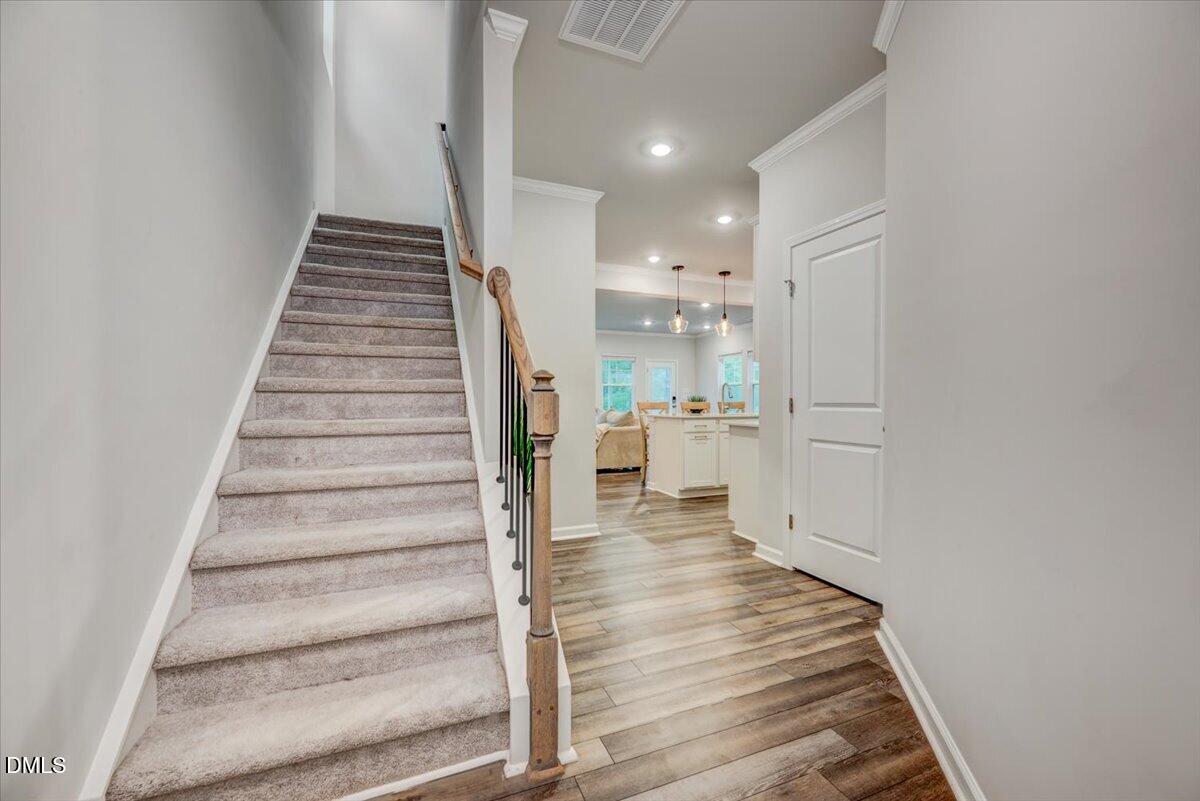 300 Garden Vine Trail