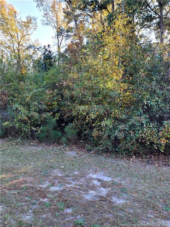 Beaver Dam Road