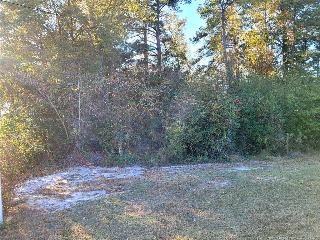 Beaver Dam Road