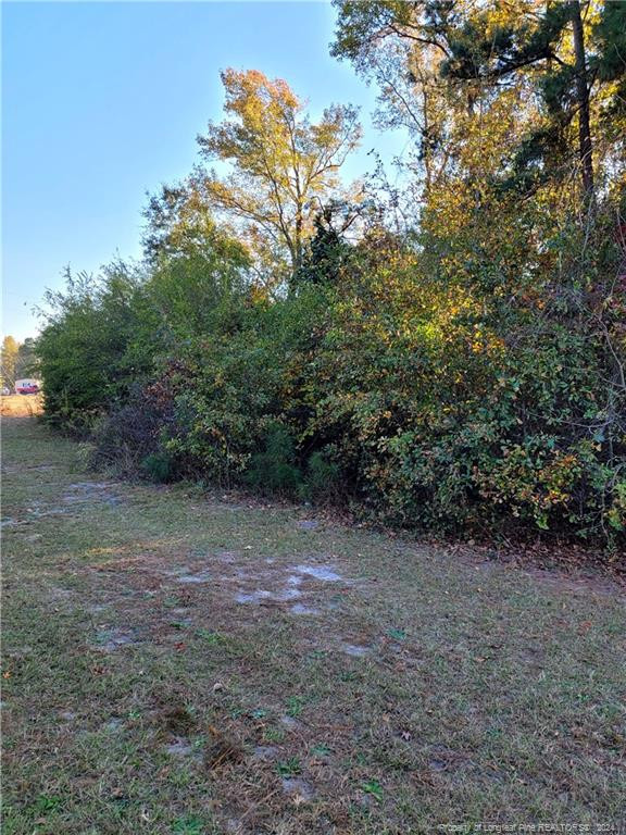 Beaver Dam Road