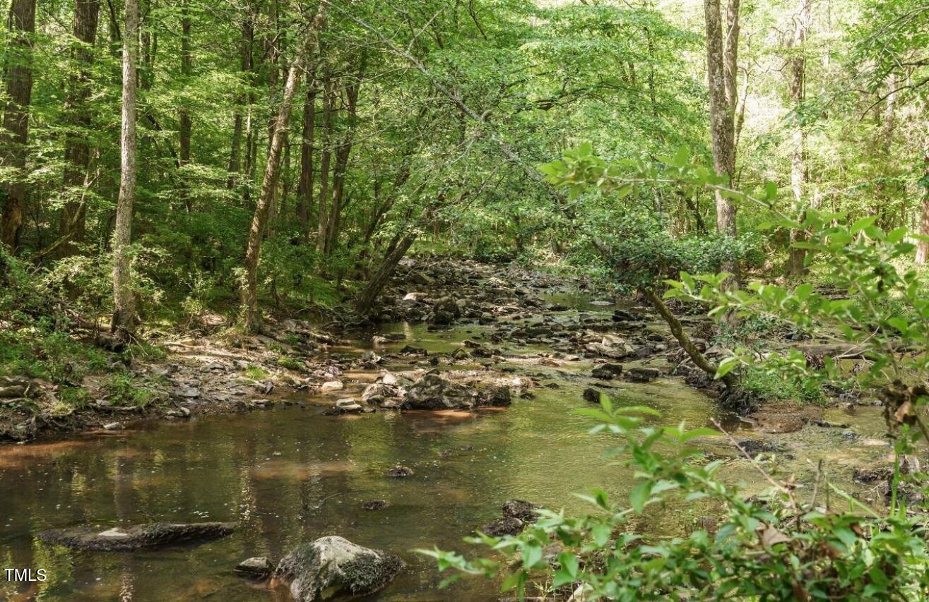 60 Clear Springs Court