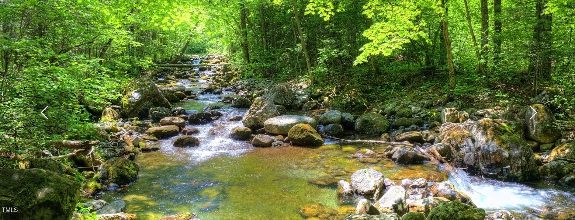 60 Clear Springs Court