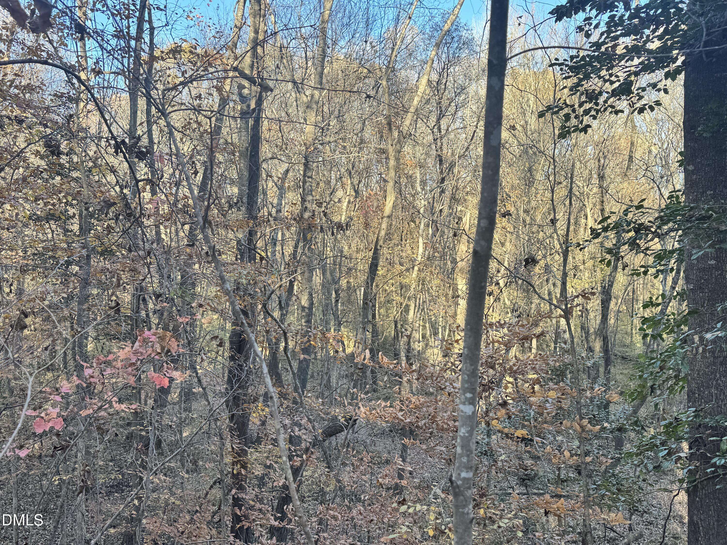 1715 Fire Depart Road