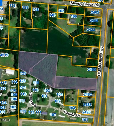 2470 Old Mt Olive Highway Dudley NC 28333