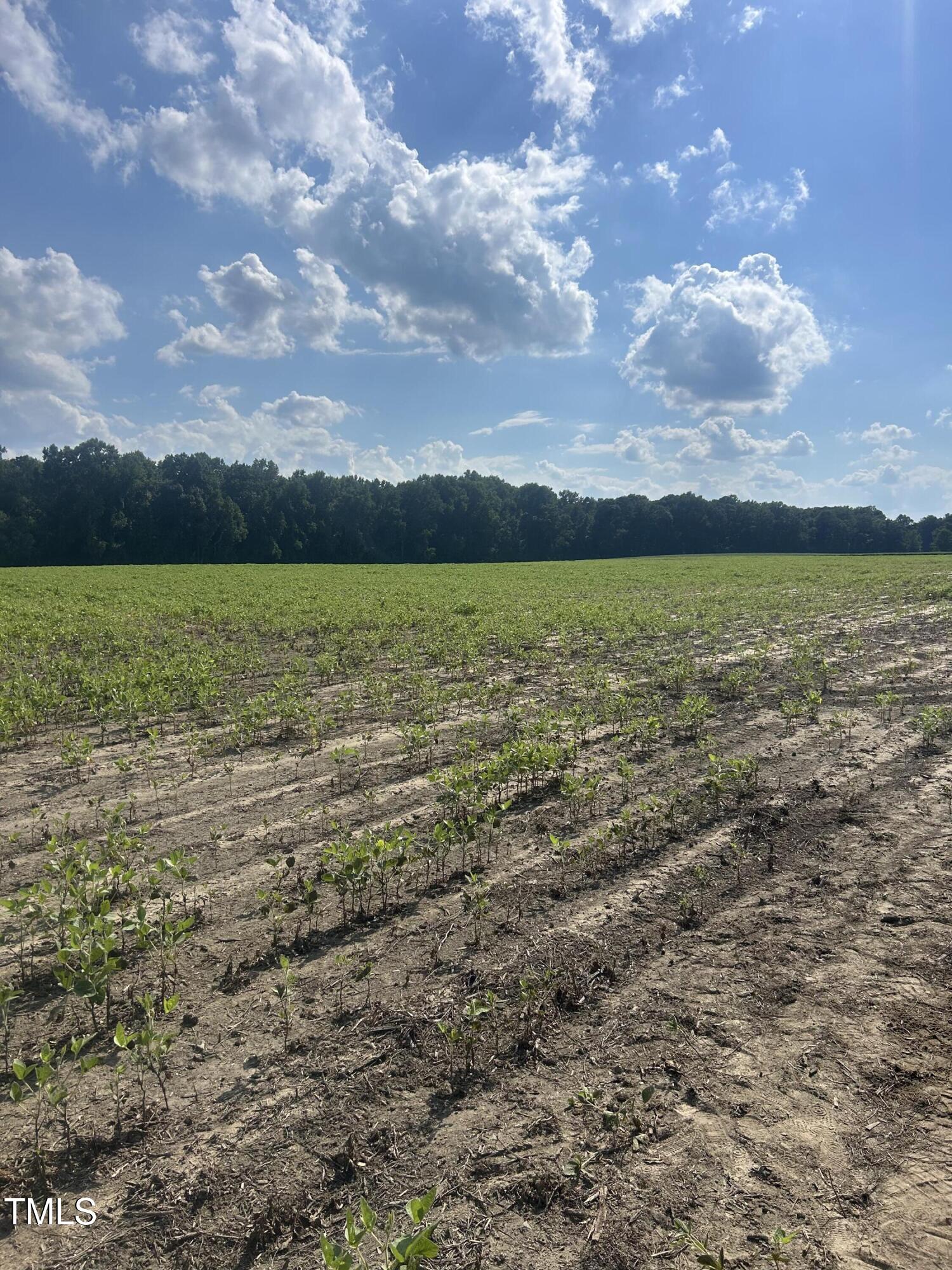 10581 Nc Hwy 42