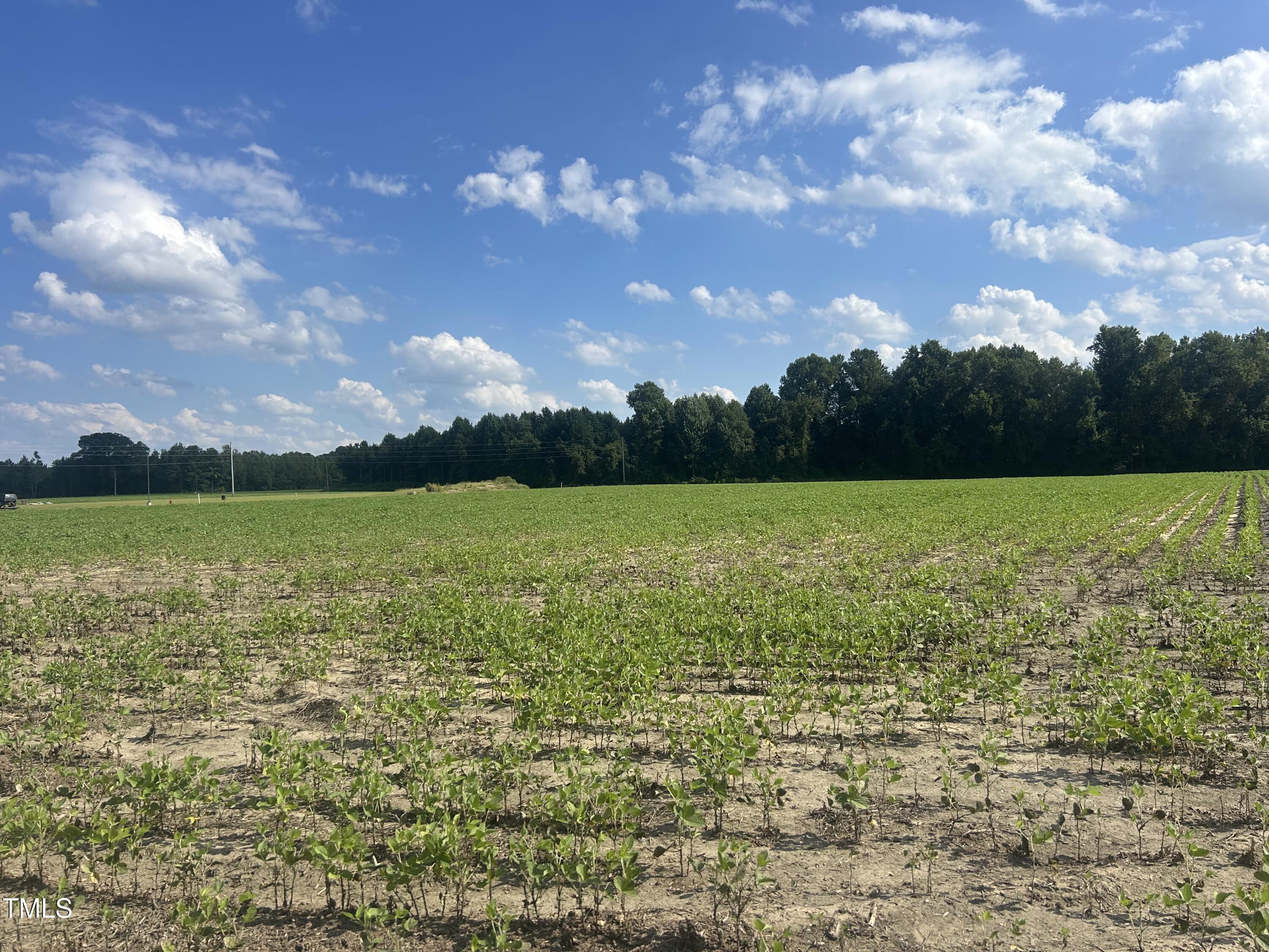 10581 Nc Hwy 42