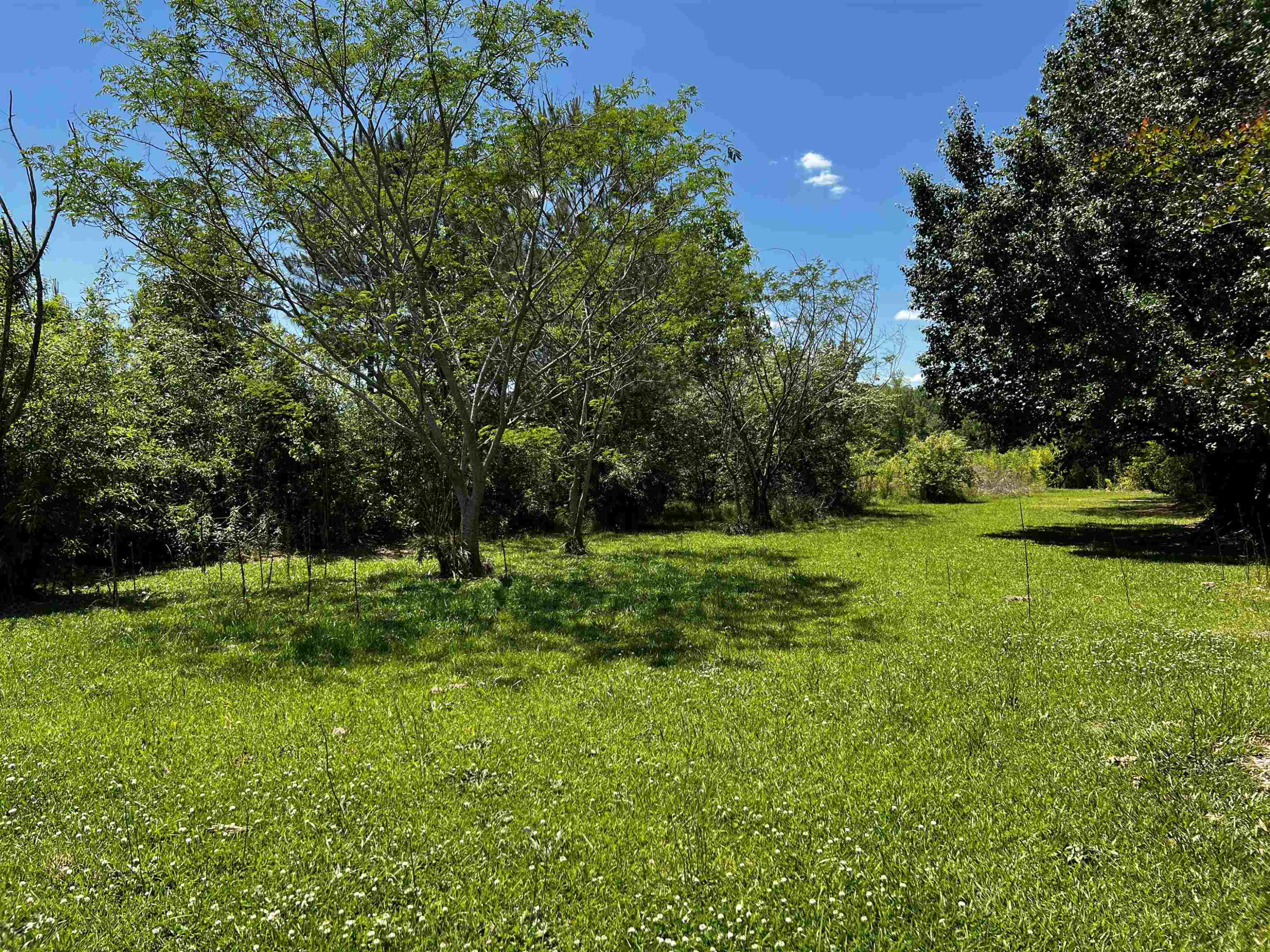2527 Joel Johnson Road